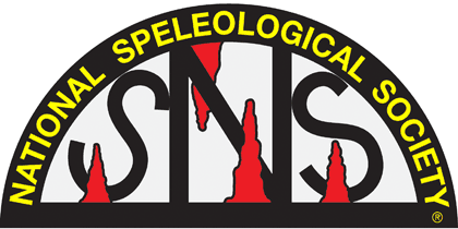 nss logo